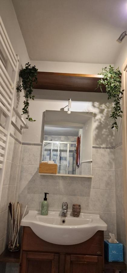 Monica Appartamento Con Giardino Al Ponte Vecchio 佛罗伦萨 外观 照片